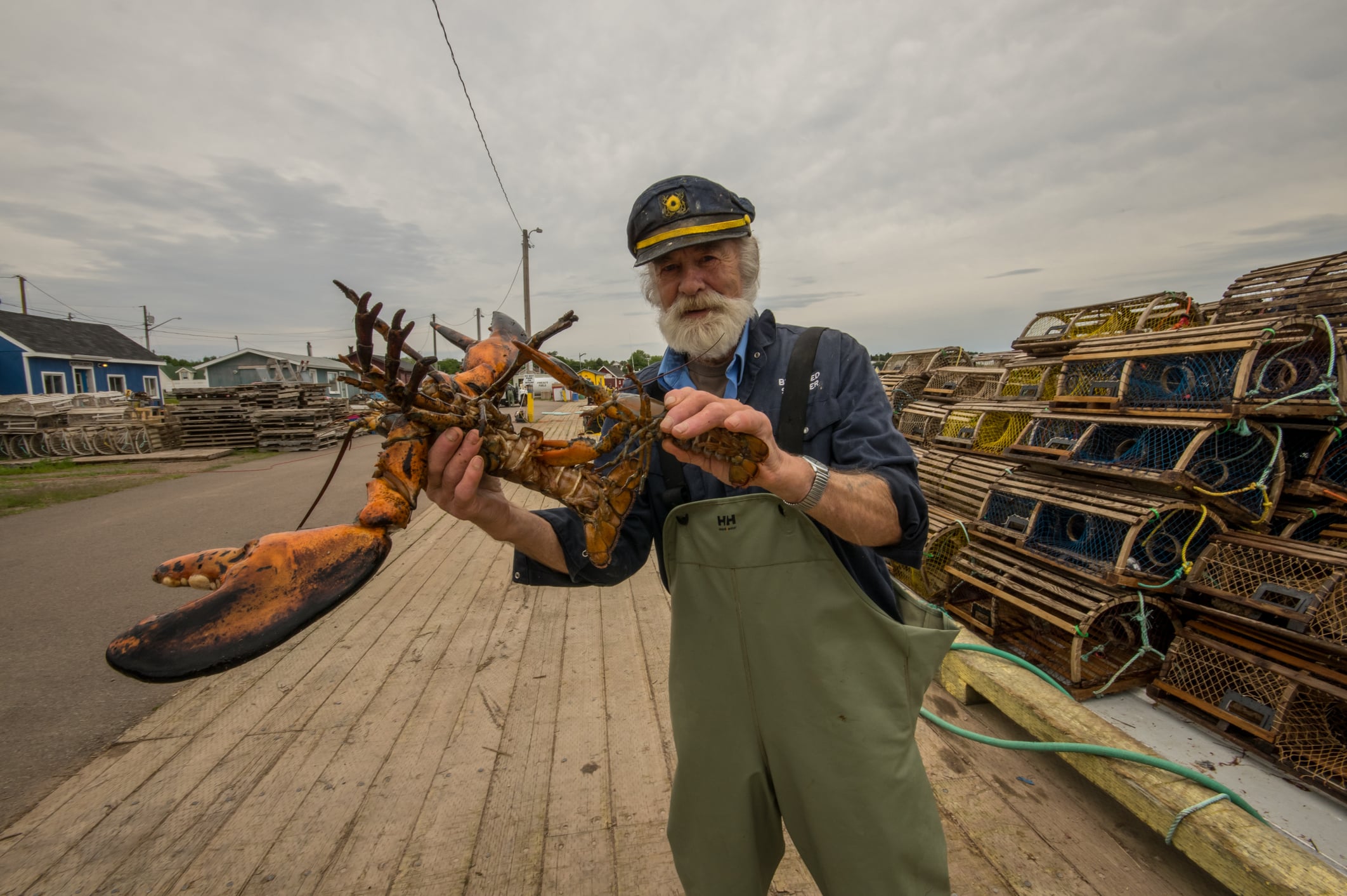 The best lobster is Canadian!