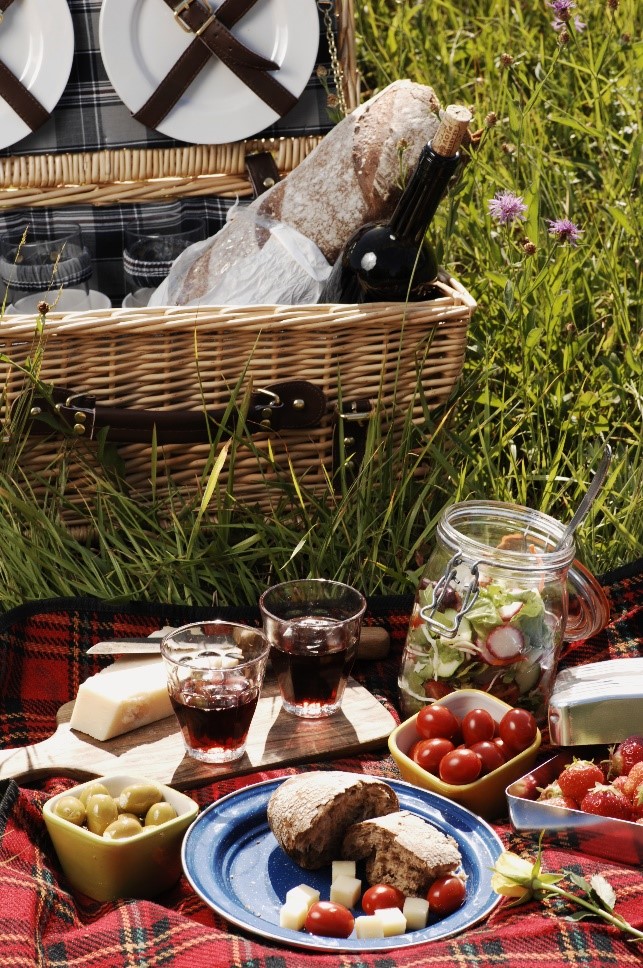 Vineyard picnic essentials can be found at Williams Food Equipment.