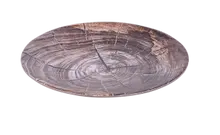 Elite Global Solutions - Denali 8.5" Knotwood Round Plate (6 Per Case) - B20294-KW