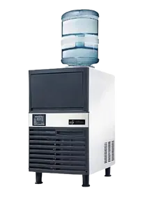 EFI Sales - 120 Lb Cube Ice Machine w/ Storage Bin - IM-120-WB