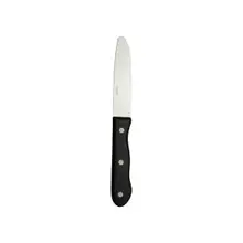 Walco - 9.8" Steak Knife W/ Delrin Handle (12 Per Case) - WL880528R