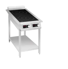 Eurodib - Freestanding 2 Burner Commercial Induction Cooktop - FCI235OS1PH