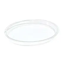 Delfin - Metro 12" x 10" Clear Acrylic Oval Insert (6 Per Case) - DFIOV1210ME00