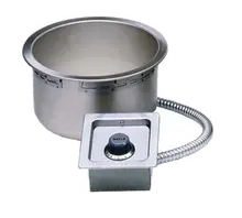 Wells - 11 Qt. Round Drop-In Insulated Food Warmer 120V w/ Thermostatic Controls, Drain & Plug - SS10TDUCI 120