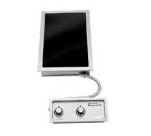 Wells - Dual 9" Built-In Ceramic Hot Plate 208/240V - HC-2256